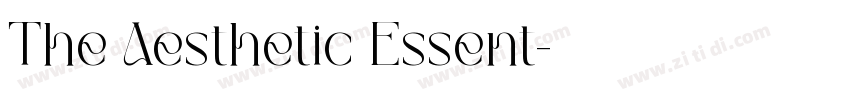 The Aesthetic Essent字体转换